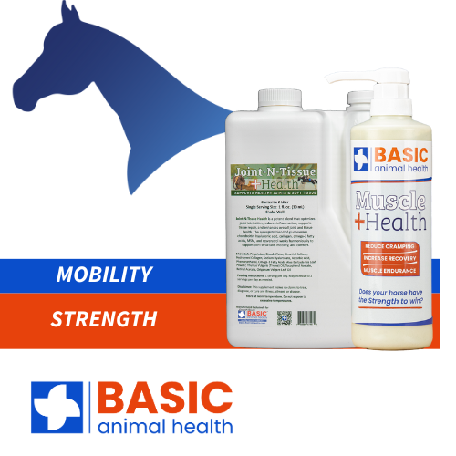 Bundle - Joint & Muscle Support