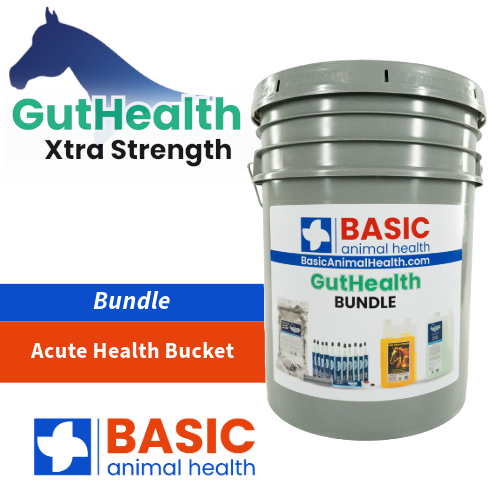Acute Health Bucket - Gut Health Horse Supplement