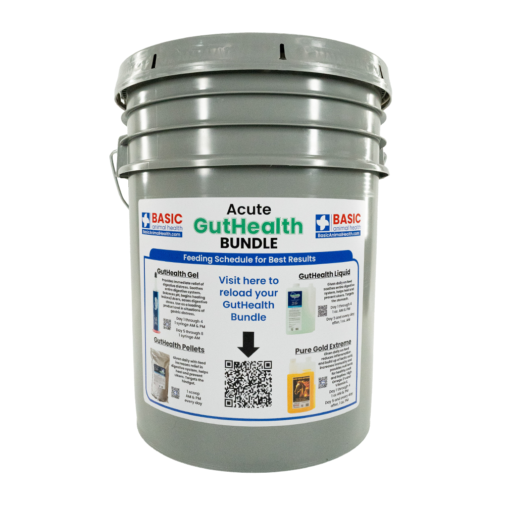 Acute Gut Health Horse Supplement  Bundle
