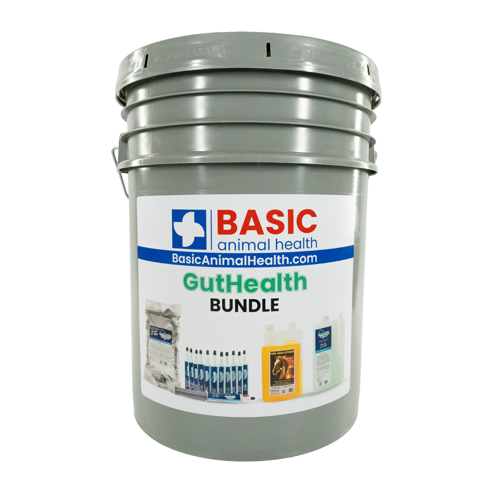 Gut Health Horse Supplement Bundle