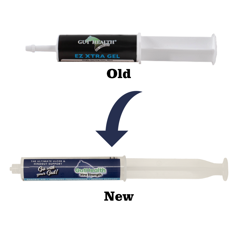 GutHealth Xtra Strength Gel Supplement for Horses