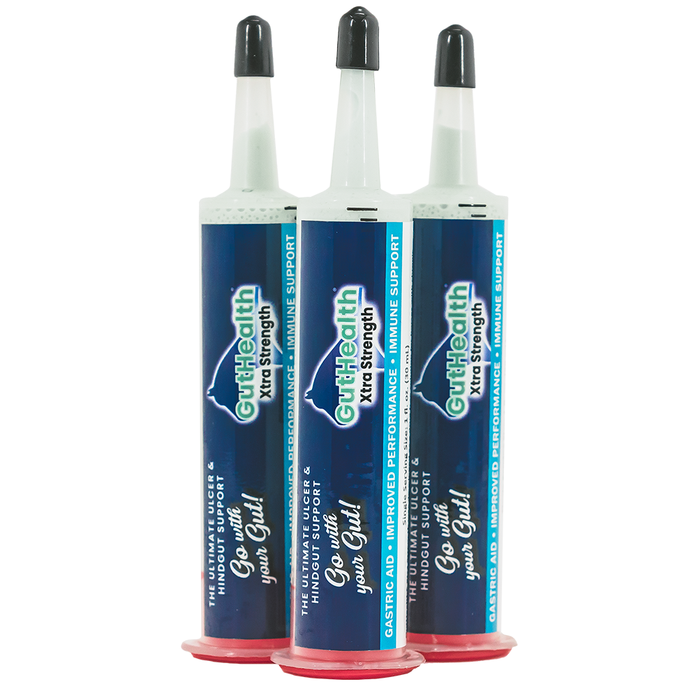 GutHealth Xtra Strength Gel Supplement for Horses
