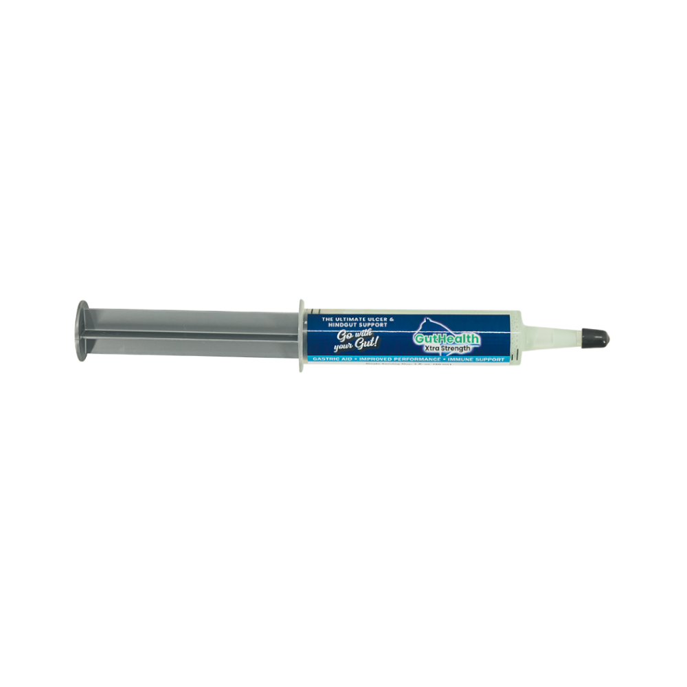 GutHealth Xtra Strength Gel Supplement for Horses