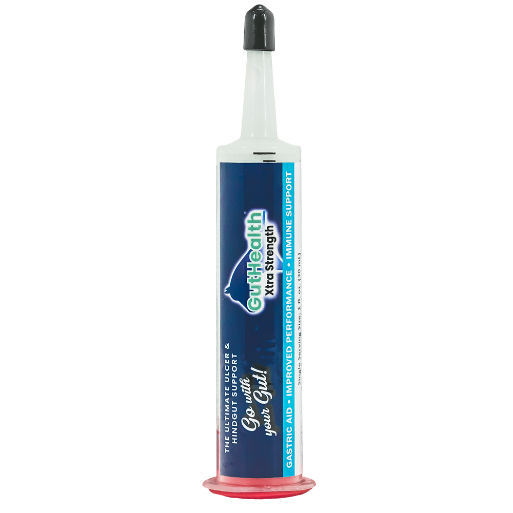 GutHealth Xtra Strength Gel Supplement for Horses