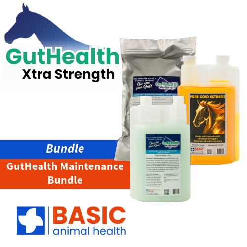 GutHealth Maintenance Bundle