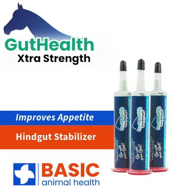 GutHealth Xtra Strength Gel for Horses - Three_Pack