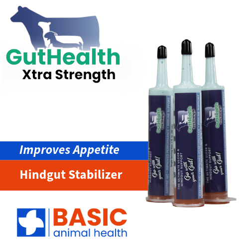 GutHealth Xtra Strength Gel for Livestock