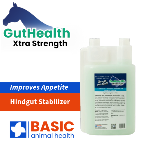 GutHealth Xtra Strength Liquid for Horses - 32 fl. oz.