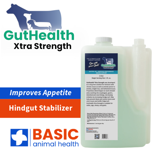 GutHealth Xtra Strength Liquid for Livestock - 64 fl. oz.