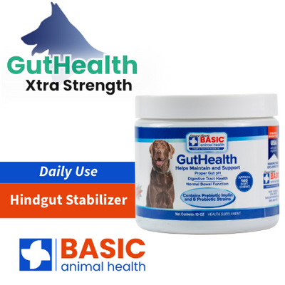 GutHealth Xtra Strength Treats for Dogs