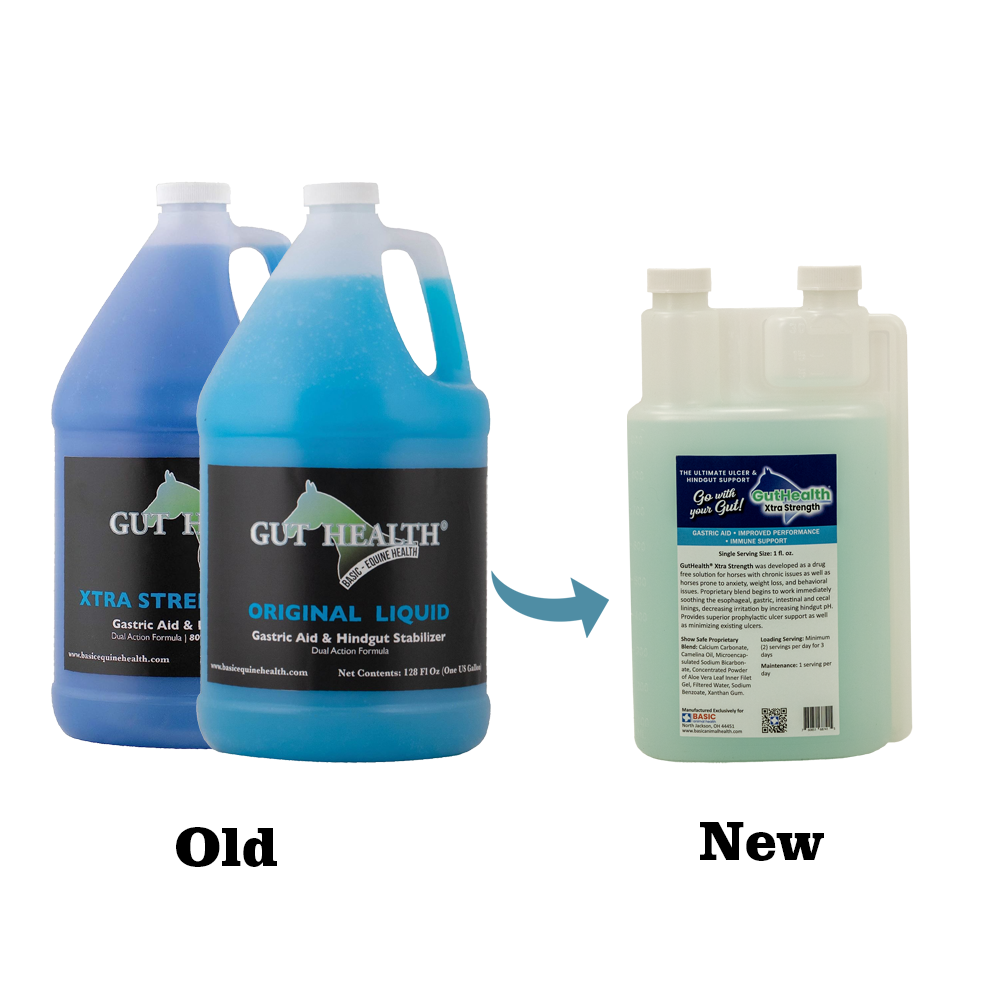 GutHealth Xtra Strength Liquid Supplement for Horses