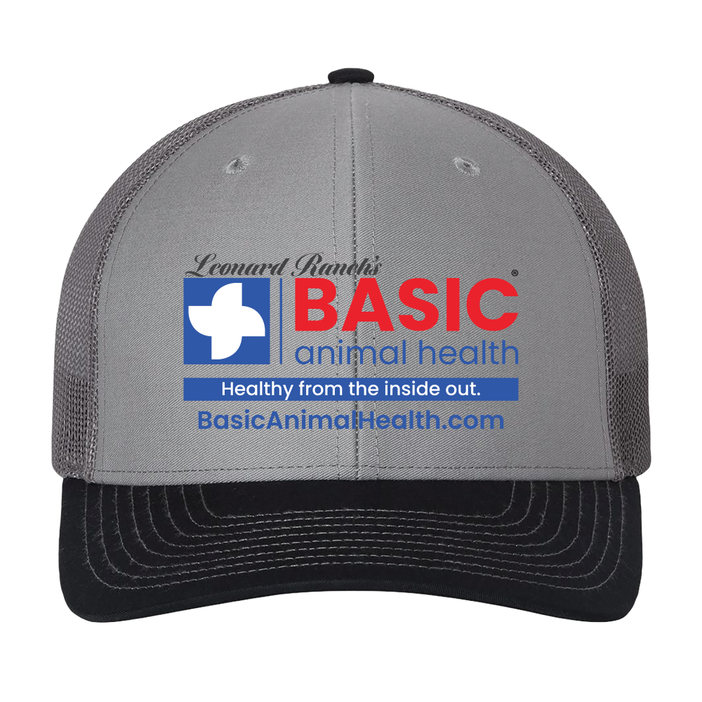 Basic Logo Richardson 112 Hats
