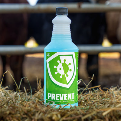 DF Crosley Prevent for Livestock & Horses - 32 oz.