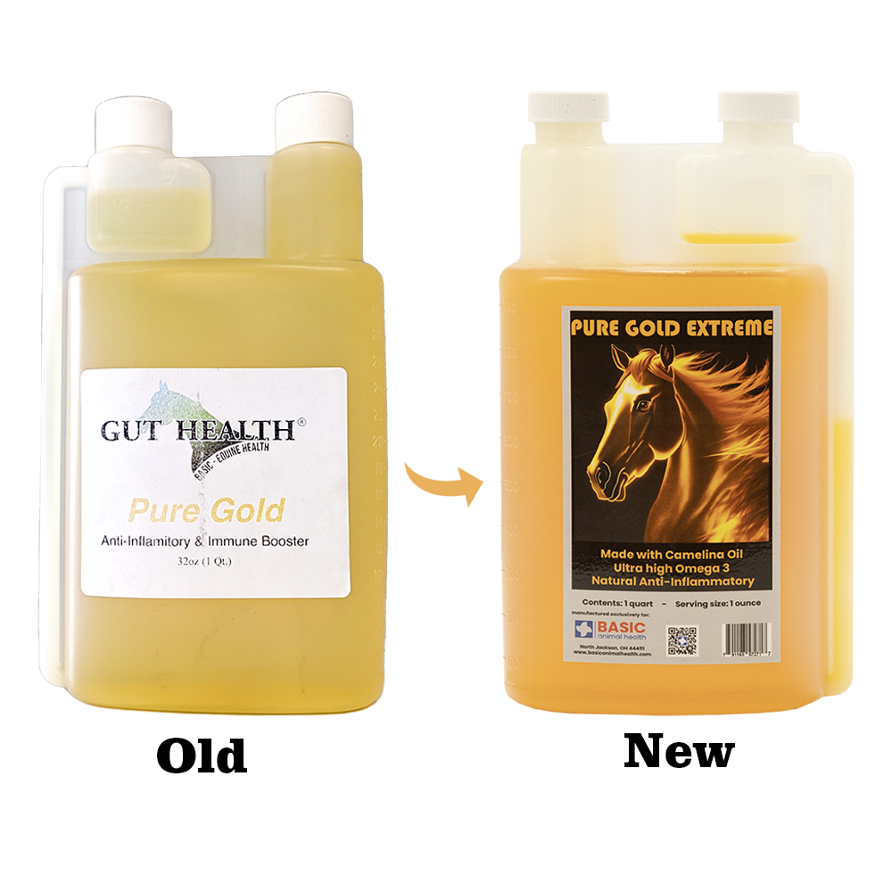Pure Gold Extreme for Horses