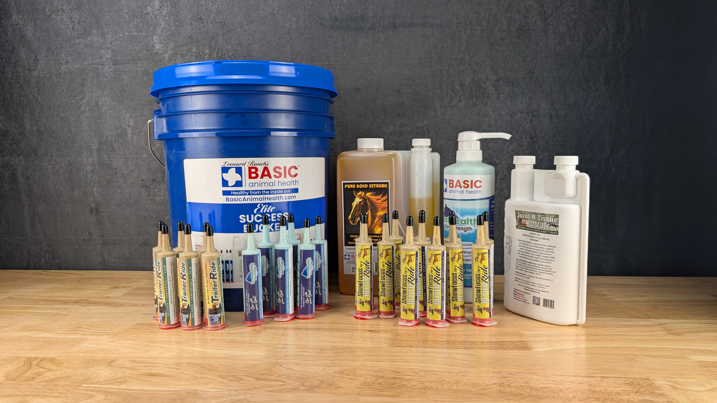 Bundle - Elite Success Bucket