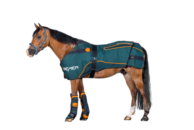 BEMER Horse Set-Bundle