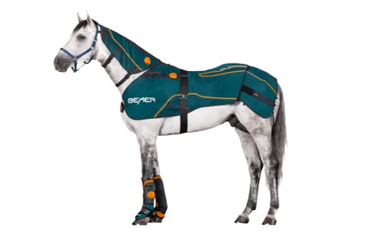 BEMER Horse Premium Bundle