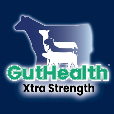 Guthealth Gastric and Hindgut Supplements for Livestock