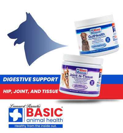 Bundle - Gut & Joint for Dogs