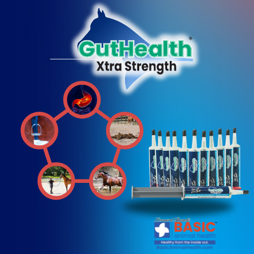 GutHealth Xtra Strength Gel for Colic Ulcers horses