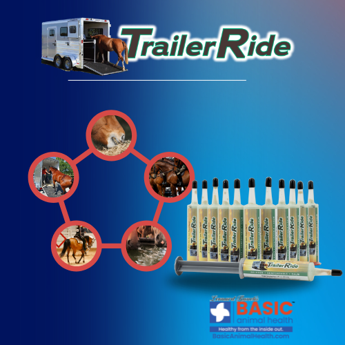 TrailerRide Horse Calming Supplement for Horses