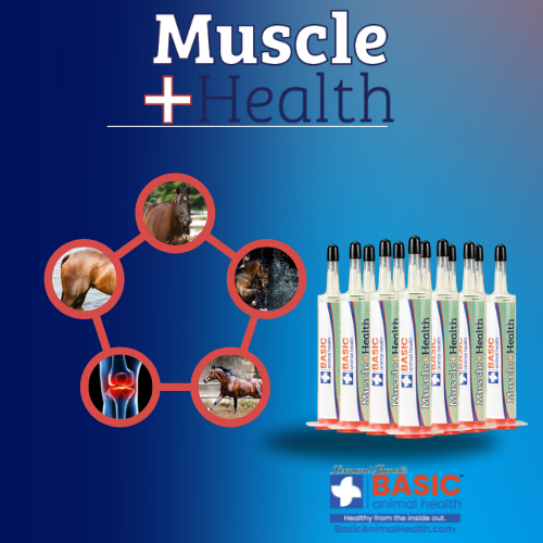 MuscleHealth Gel Supplement for Horses