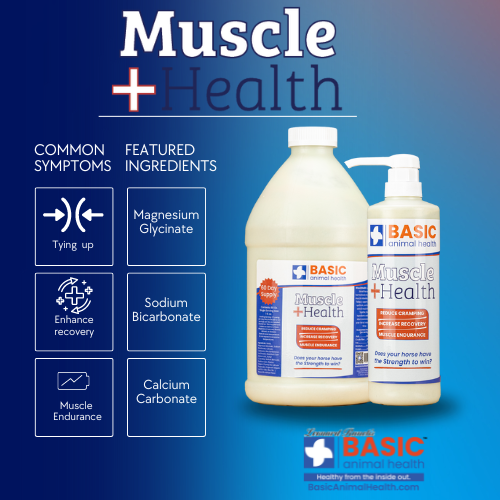 MuscleHealth Gel Supplement for Horses - Bottles