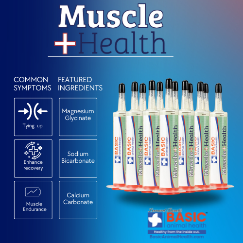 MuscleHealth Gel Supplement for Horses