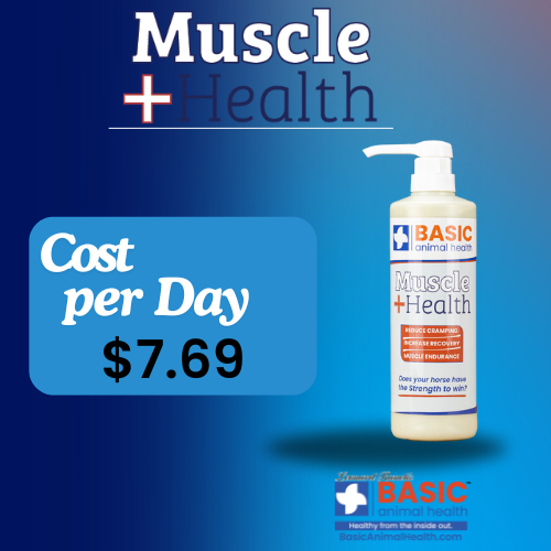 MuscleHealth Gel Supplement for Horses - Bottles