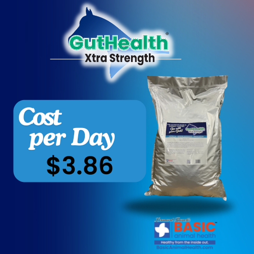 GutHealth Xtra Strength Pellets Supplement for Horses