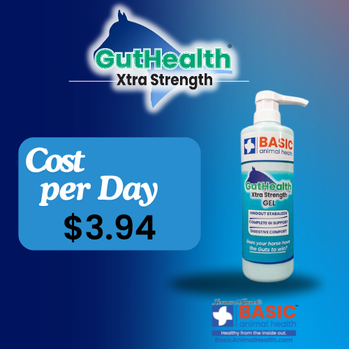 GutHealth Xtra Strength Gel for Horses gut health for horses