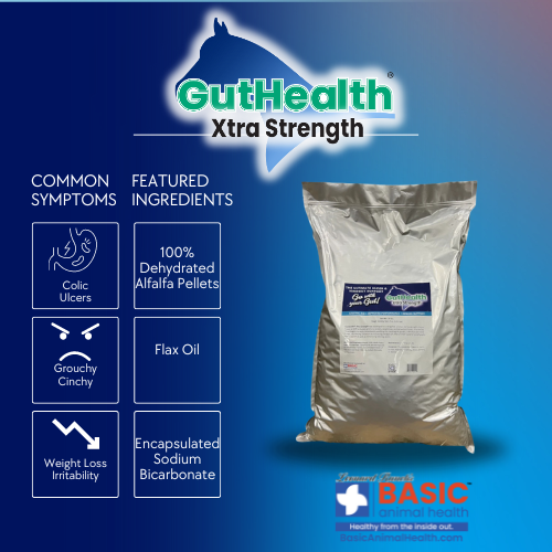 GutHealth Xtra Strength Pellets Supplement for Horses