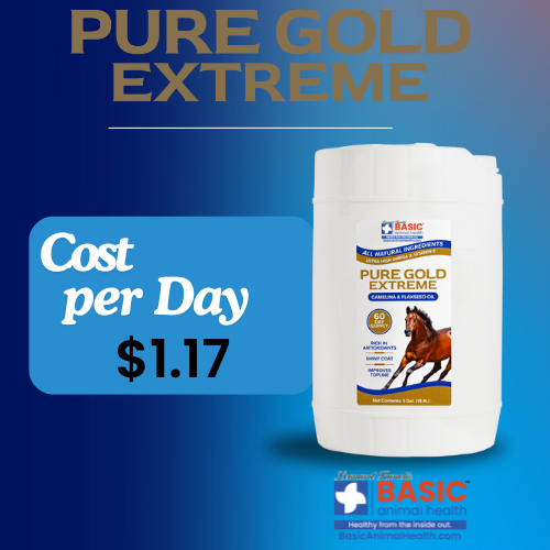 Pure Gold Extreme Horse Supplement healthy weight vitamin e supplement