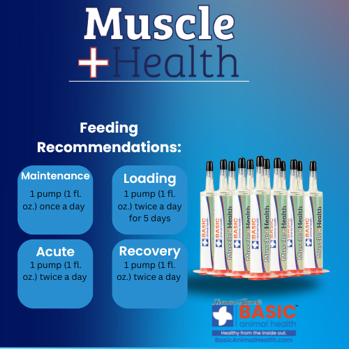 MuscleHealth Gel Supplement for Horses