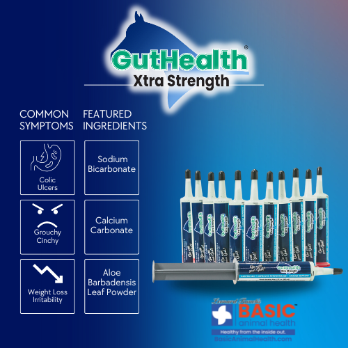 GutHealth Xtra Strength Gel for Colic Ulcers horses