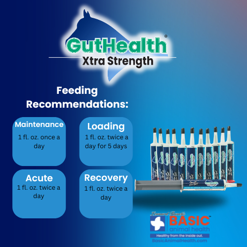 GutHealth Xtra Strength Gel gut health horse feeding recomendations