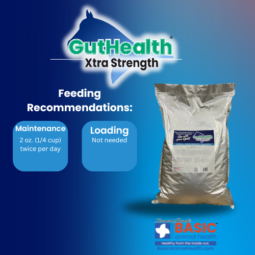 GutHealth Xtra Strength Pellets Supplement for Horses