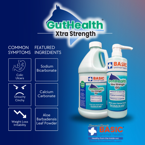 GutHealth Xtra Strength Gel for Horses gut health for horses