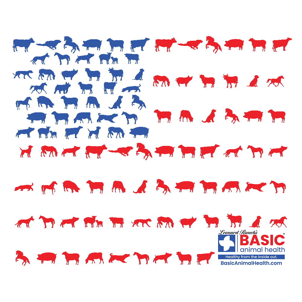 Animal American Flag T-Shirts