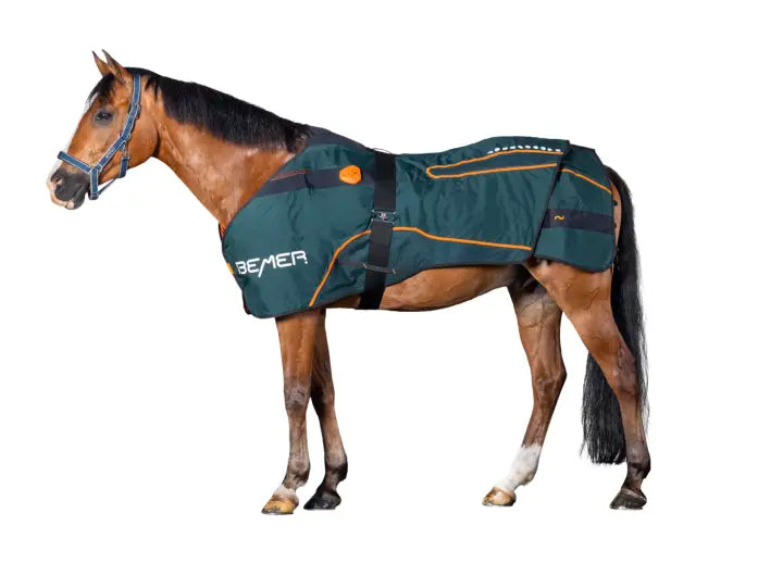 BEMER Horse Blanket