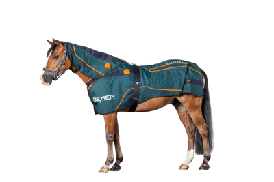 BEMER Perfect Horse Duo Bundle