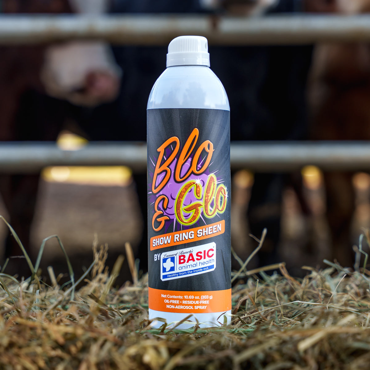 Blo & Glo Show Ring Sheen