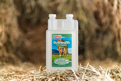GutHealth Xtra Strength Liquid