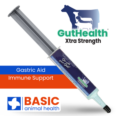 GutHealth Xtra Strength Gel Supplement for Livestock