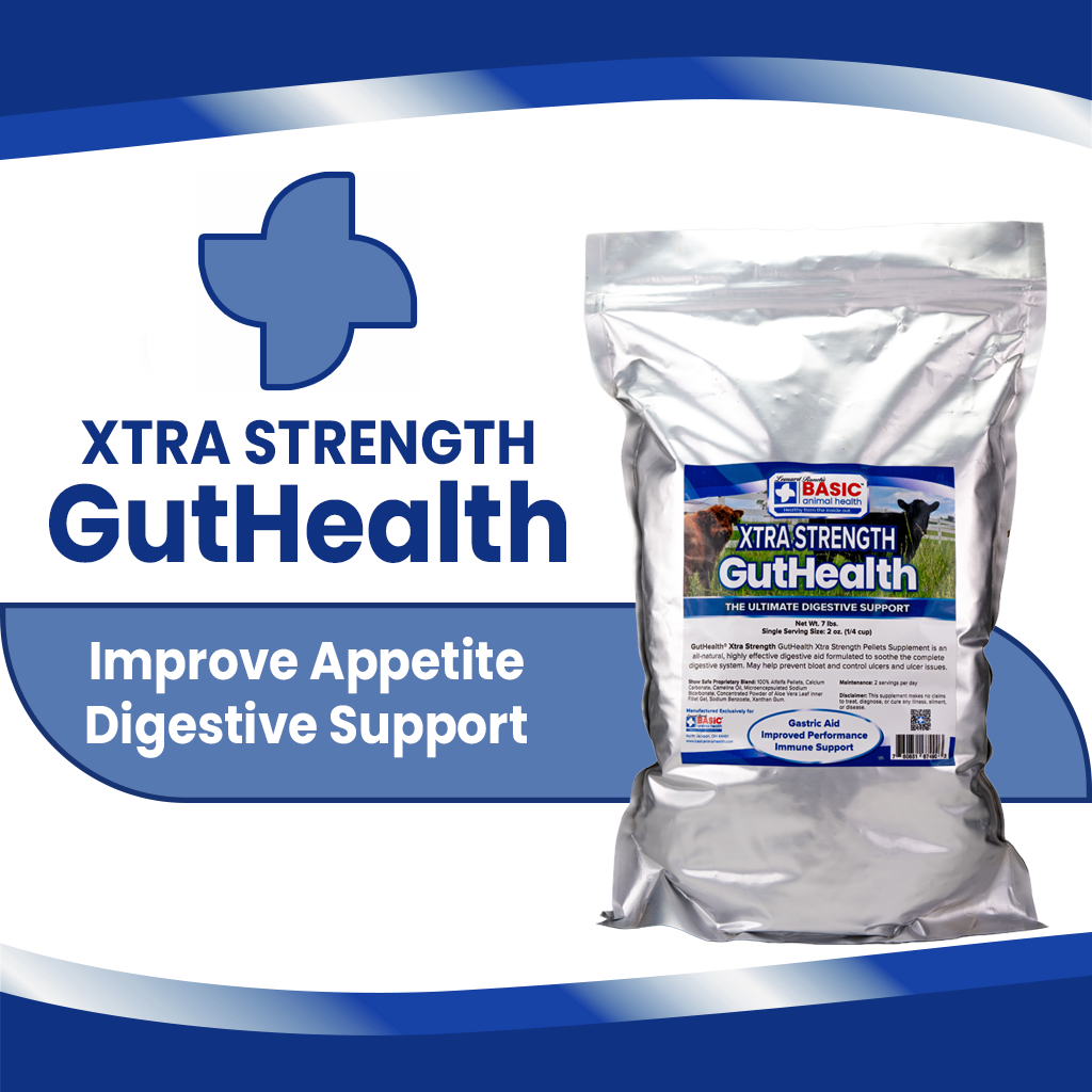 GutHealth Xtra Strength Pellets Supplement for Cattle