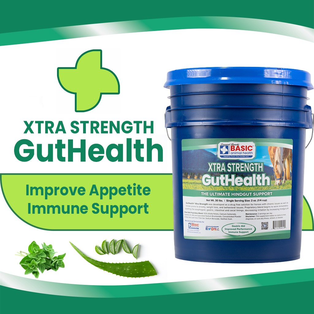GutHealth Xtra Strength Pellets Supplement for Horses