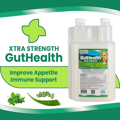 GutHealth Xtra Strength Liquid Supplement for Horses