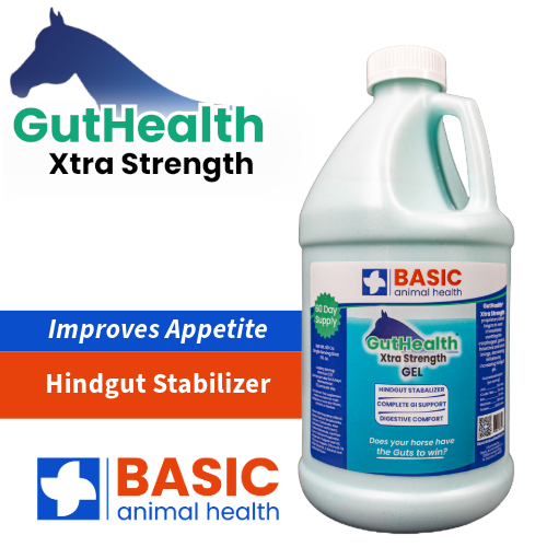 GutHealth Xtra Strength Gel for Horses - 64 fl. oz.