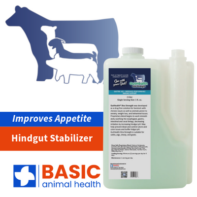 GutHealth Xtra Strength Liquid for Livestock - 64 fl. oz.