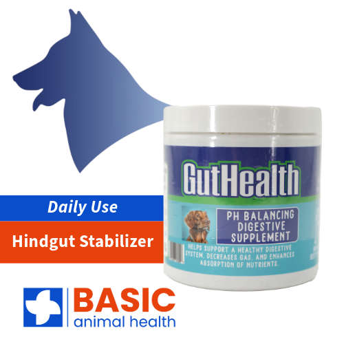 GutHealth Xtra Strength Treats for Dogs